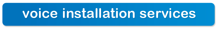 Voice Installation Services