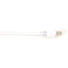 CAT5EPC-002-WH-25PAK
