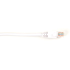 CAT5EPC-006-WH