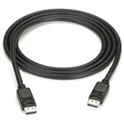 EVNDP01-0010-MM