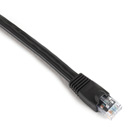 EVNSL97-0100
