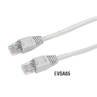 EVSA85