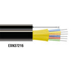 EXN37216