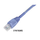 EYN801MS