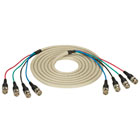 EYNRGBS2-0010-MM