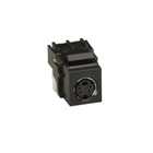 FMT375