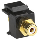FMT440