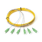 FOP6S-SCAPC-2M