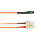 FOCMP62-005M-SCMT-OR