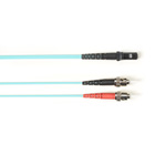 FOCMP10-025M-STMT-AQ