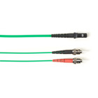 FOCMP10-003M-STMT-GN