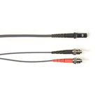 FOCMP10-003M-STMT-GR