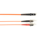 FOCMP10-002M-STMT-OR