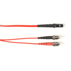FOCMP10-008M-STMT-RD