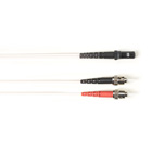 FOCMP10-003M-STMT-WH