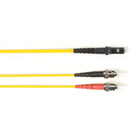 FOCMP10-005M-STMT-YL