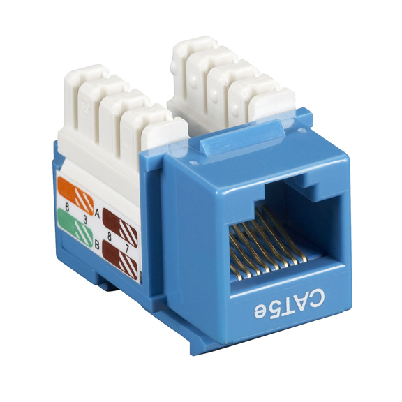 CAT5EJ-BL-25PAK