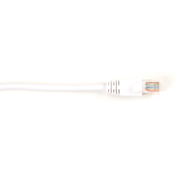 CAT5EPC-025-WH