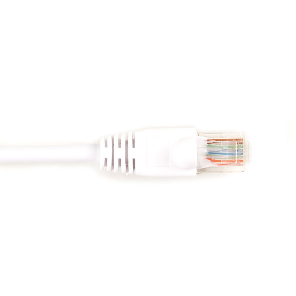 CAT6PC-003-WH-10PAK