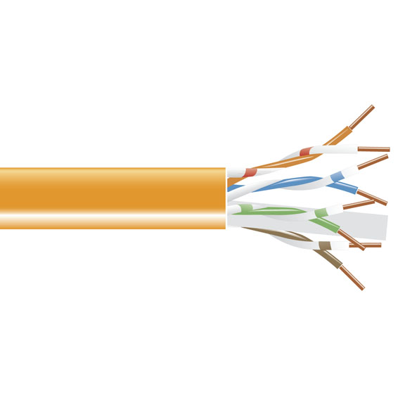 CAT6U-P-PBC-SLD-OR