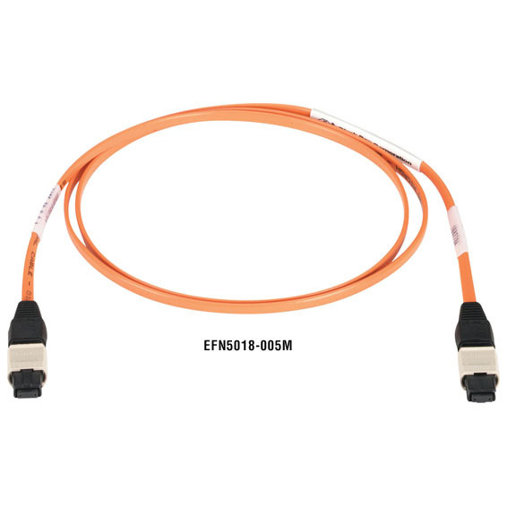 EFN5019
