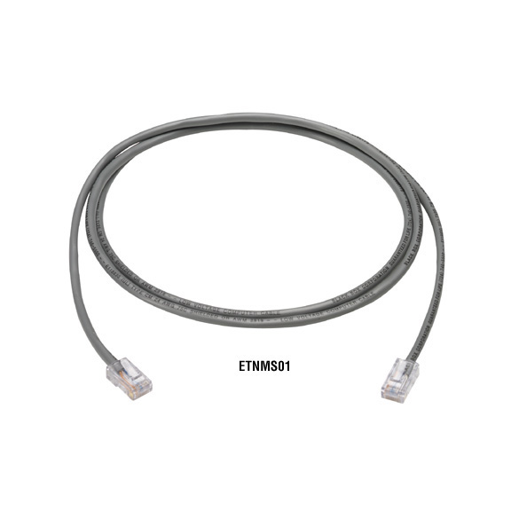 ETNMSR02-0010