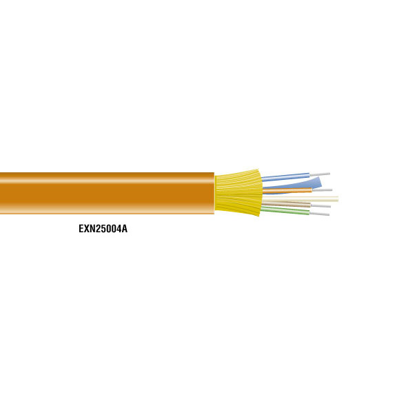 EXP25004A