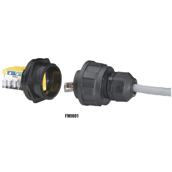 FMI011