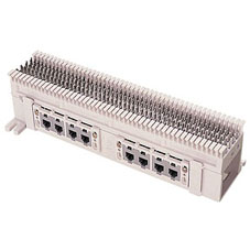 31066