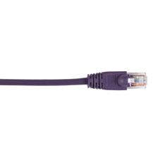 CAT5EPC-025-VT-5PAK