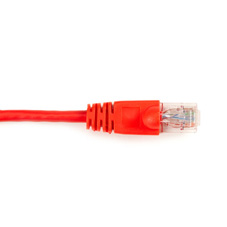 CAT6PC-003-RD-10PAK