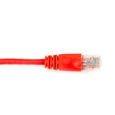 CAT6PC-010-RD