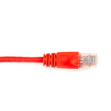 CAT6PC-020-RD