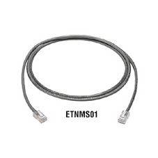 ETNMSR02-0010