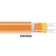 EXP1006A