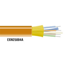 EXP25004A