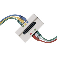 WP185