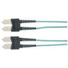 EFNT010-002M-SCSC