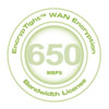 Accessory: ET-BWL-650MBPS